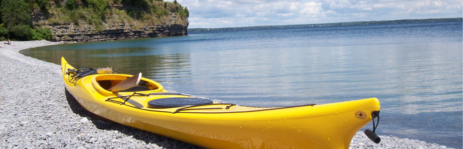 Kayak Rentals